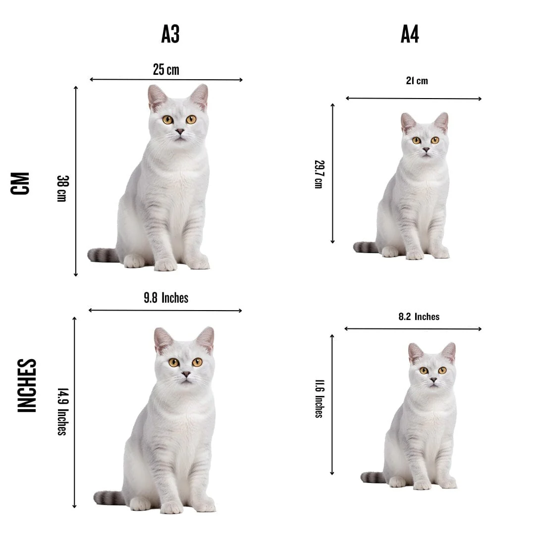 Burmilla Cat - Jigsaw Puzzle - Image 4