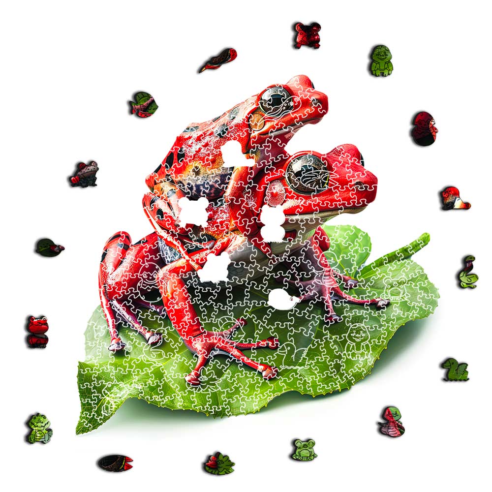 Frog Guardians - Jigsaw Puzzle - Image 3
