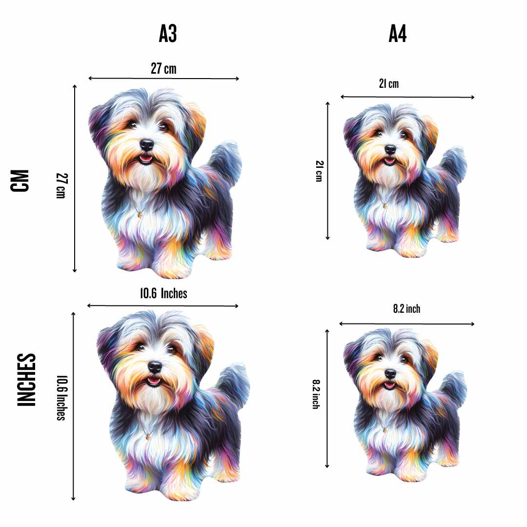 Havanese Dog - Jigsaw Puzzle - Image 2