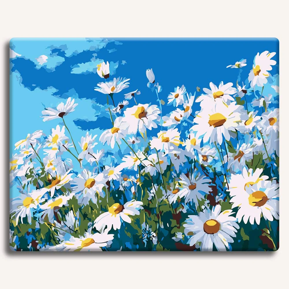 Summer Daisies - Paint By Numbers Kit