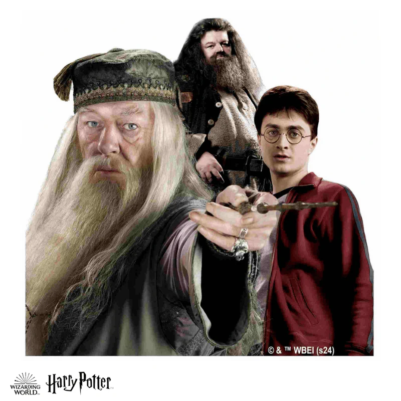Harry Potter - The Magical Guardians Wooden Jigsaw Puzzle - Image 4