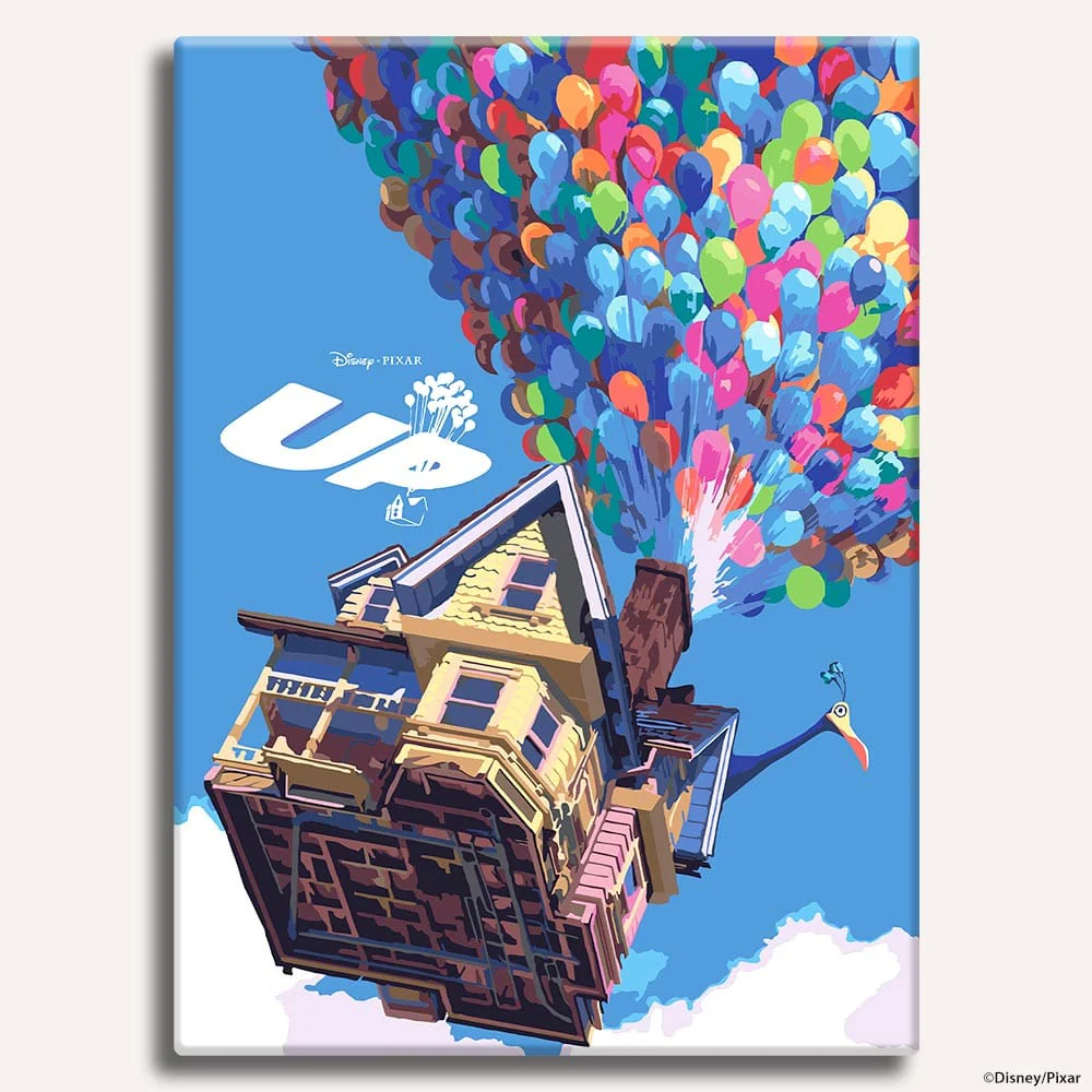 Up - Paint By Numbers Kit